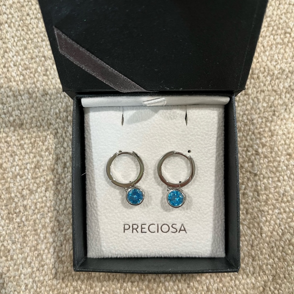 Blue Zirconium Crystal Earrings
